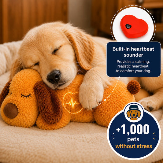 Linfera™ Puppy
